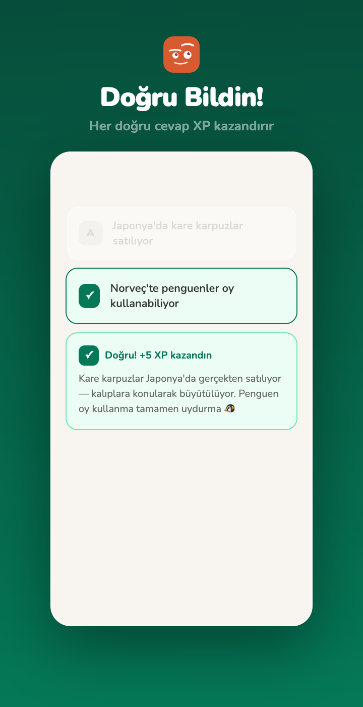 Doğru cevap — açıklama ekranı