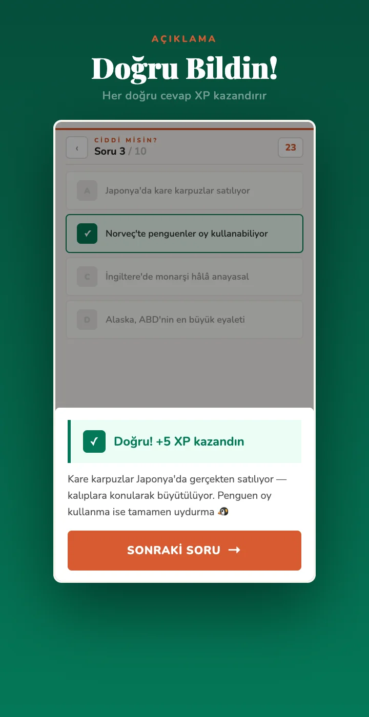 Doğru cevap — açıklama ekranı